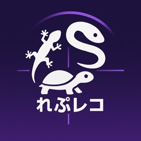 れぷレコ