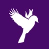 GOLDFINCH icon