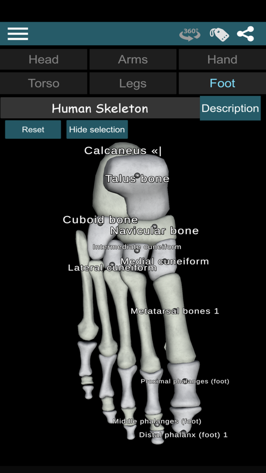 #6. Bones 3D (Anatomy) (iOS) 由: Victor Gonzalez Galvan
