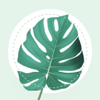 PlantMe: Plant Identifier＋Care - ZED UK Limited