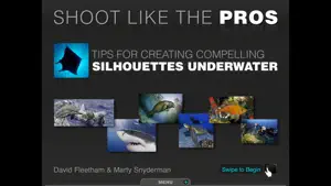 Silhouettes Underwater screenshot 1