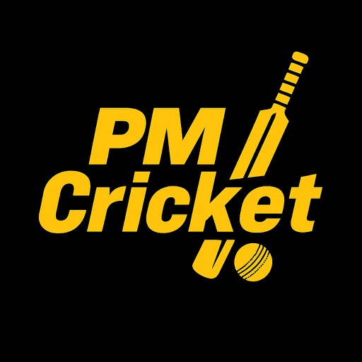 PM Cricket: Match Core