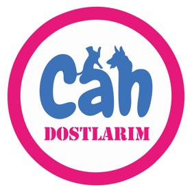 螢幕擷取畫面 (4) Can Dostlarım