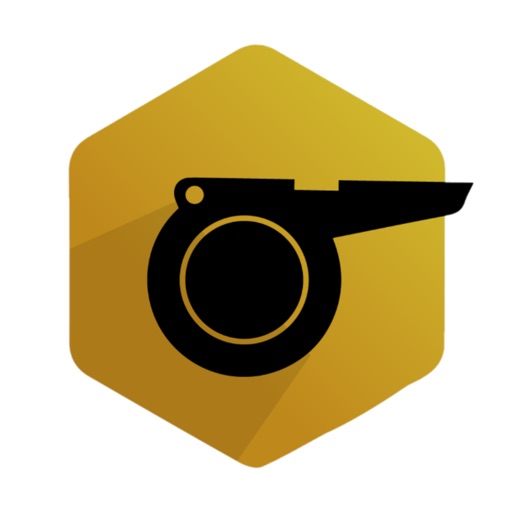 Kampdommer for leder