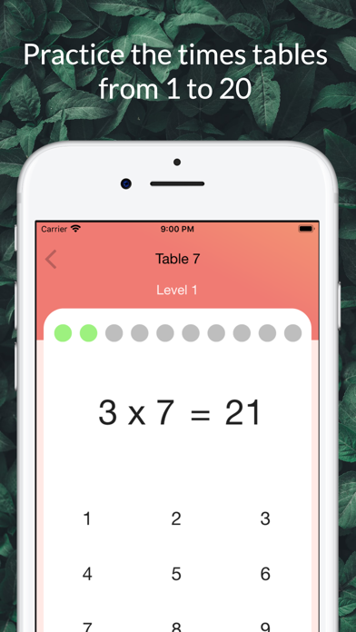 Flint - Times Table Trainer Screenshot