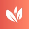 Allspice - Kitchen Companion icon
