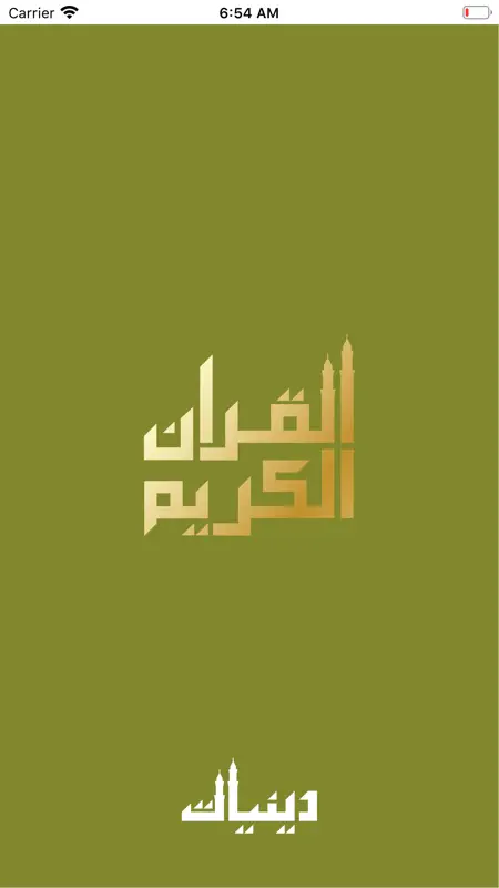 Quraan-E-Karim (15 Lines) screenshot 1 of 5