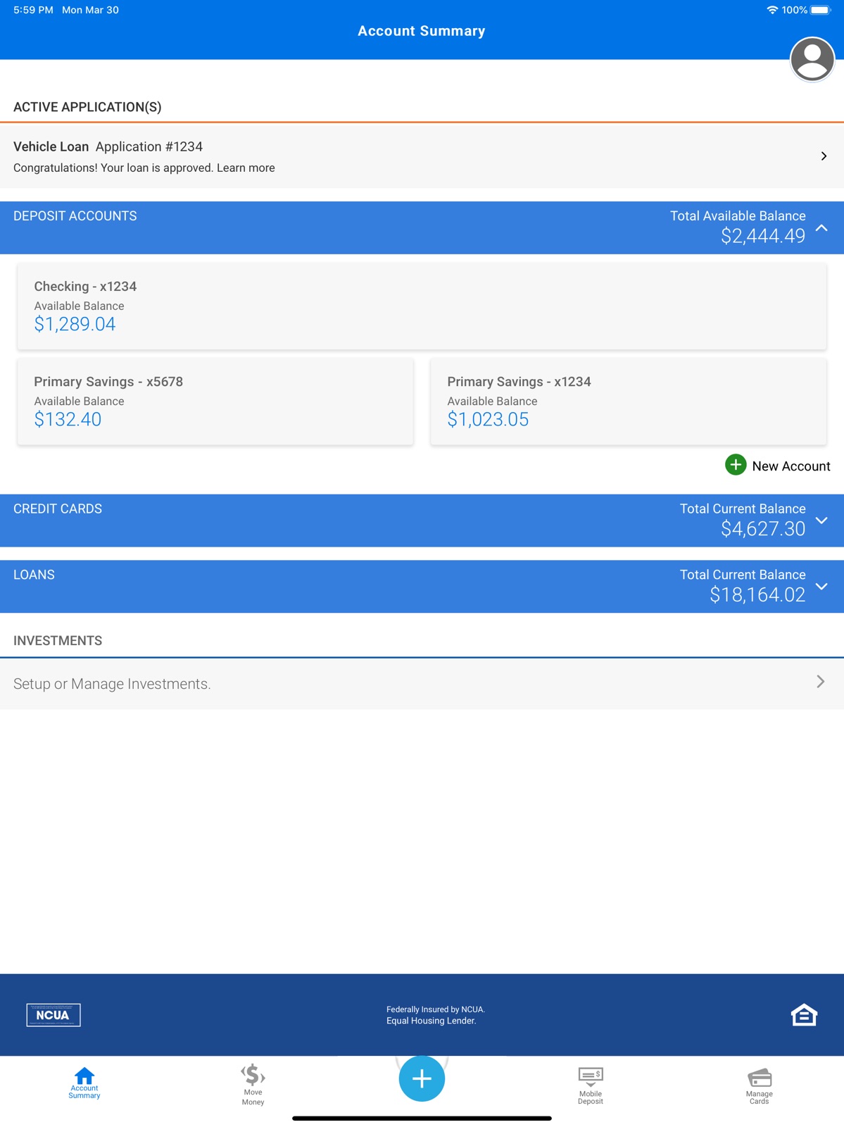 RBFCU ipad screenshot 1