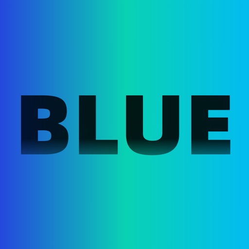 扣子和包子是豆宝 - 布鲁