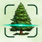 Tree Identifier: Plant Care