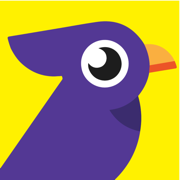 Morning Bird