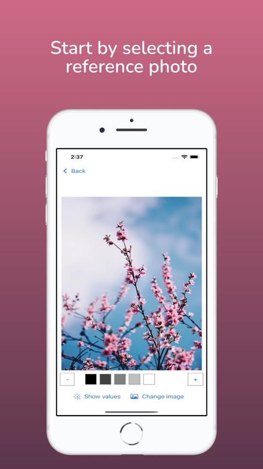 #7. Value Study: art reference (macOS) 由: Diem Limited