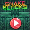 Snake Blocks Fun icon