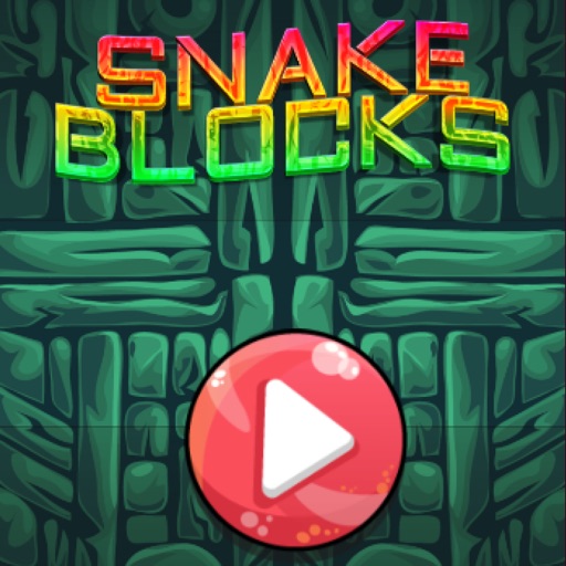 Snake Blocks Fun