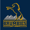 ACT Brumbies Rugby - Tiparra Group Pty Ltd