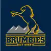 ACT Brumbies Rugby App Delete