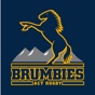 ACT Brumbies Rugby app download
