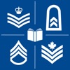 NATO Ranks icon