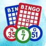 Get Bingo Caller for iOS, iPhone, iPad Aso Report