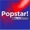 Popstar! Country Radio icon