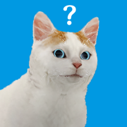 逃脱游戏 猫的视角！