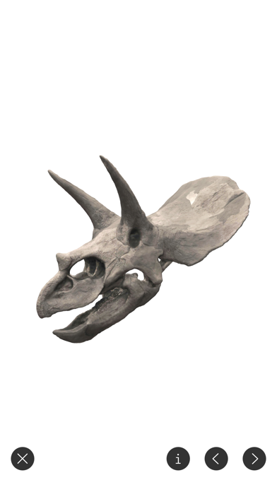 World of Dinosaurs - AR Dinos Screenshot