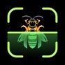 Get Insect Identifier for iOS, iPhone, iPad Aso Report