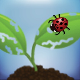 螢幕擷取畫面 (6) EDDMapS Biocontrol