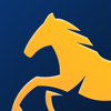 Mustang Energy - United IT Company LLC