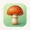 Mushrooms - Photo Identifier anmeldelser