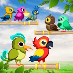 Bird Sort Game: Color Puzzle