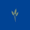 Graça e Renovo icon