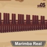 Get Marimba, Xylophone, Vibraphone for iOS, iPhone, iPad Aso Report