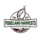 Pureland Harvests is dedicated to delivering premium, sustainably grown products using time-honored natural farming practices