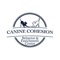 Canine Cohesion offers the very best in pet care