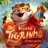 Tigrinho House: Tetris Slots icon