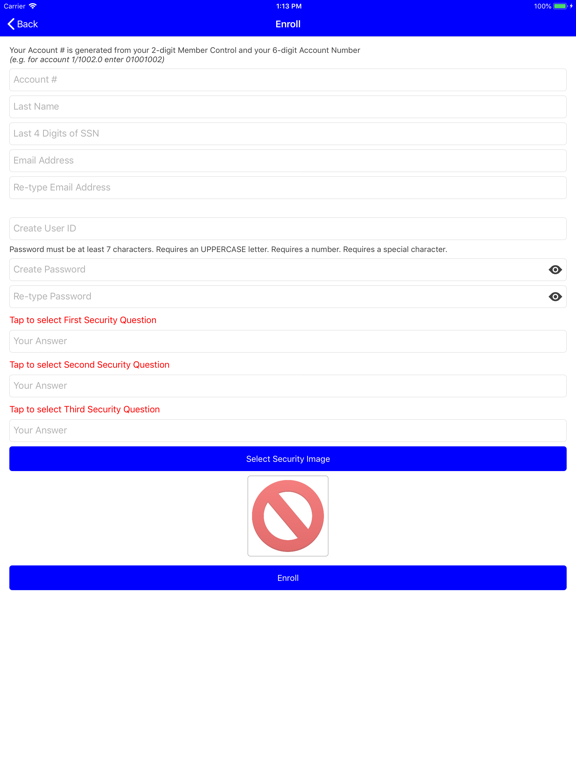 Steel Valley FCU iPad screenshot
