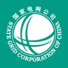 绿色国网 icon