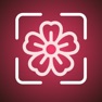 Get FlowerAI: Identify Flowers for iOS, iPhone, iPad Aso Report