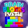 Brain Blocks Puzzle icon