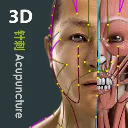 Visual Acupuncture 3D app icon
