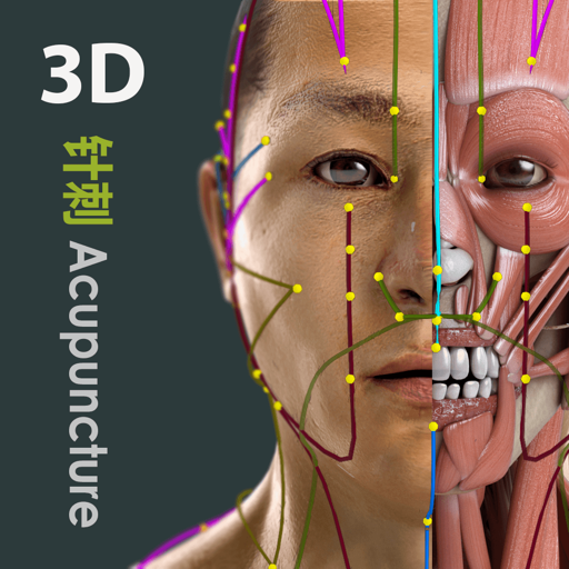 Visual Acupuncture 3D anmeldelser