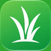 Grass Identifier: Grass X AI