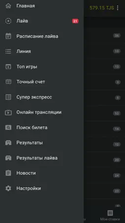Formula55 screenshot 3