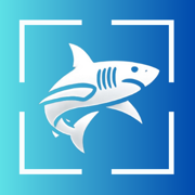 Fish Identifier : FishAI