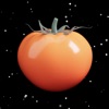 Crunchy Tomatoes Menu Scanner icon
