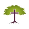 Get First Baptist of Randleman for iOS, iPhone, iPad Aso Report
