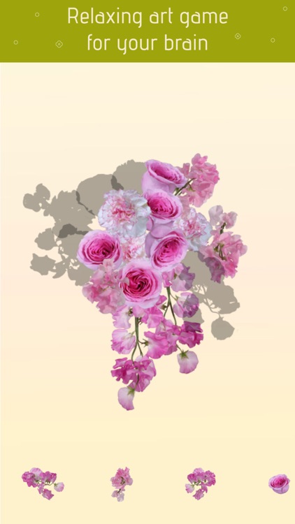 Flower Puzzles: New Brain Game screenshot-0