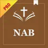 New American Bible Audio Pro App Positive Reviews