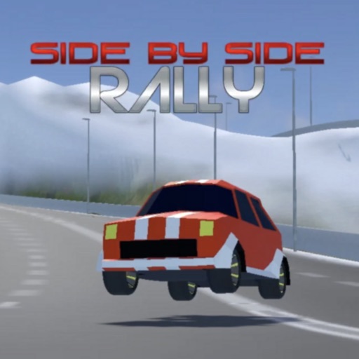 Side by Side Rally